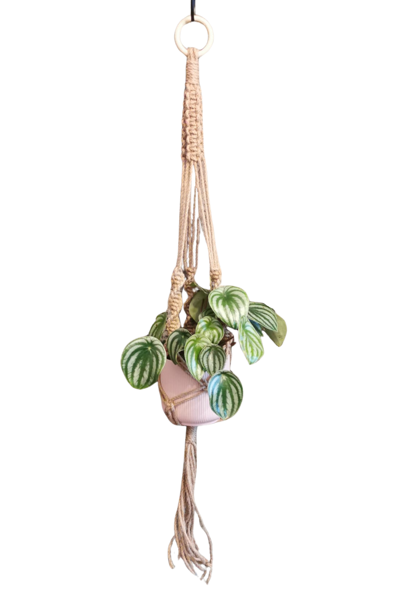 Natural Jute twister