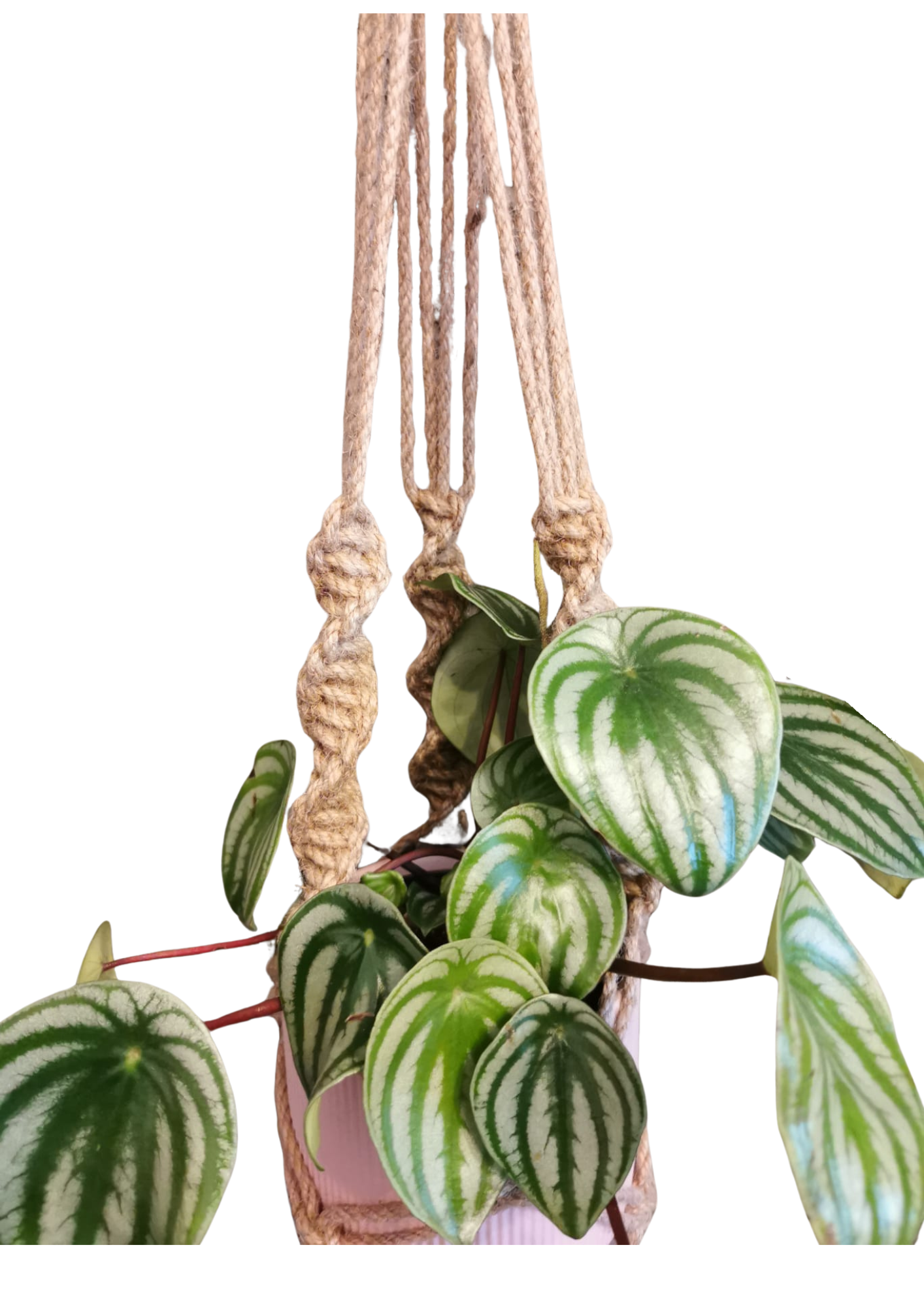 Natural Jute twister