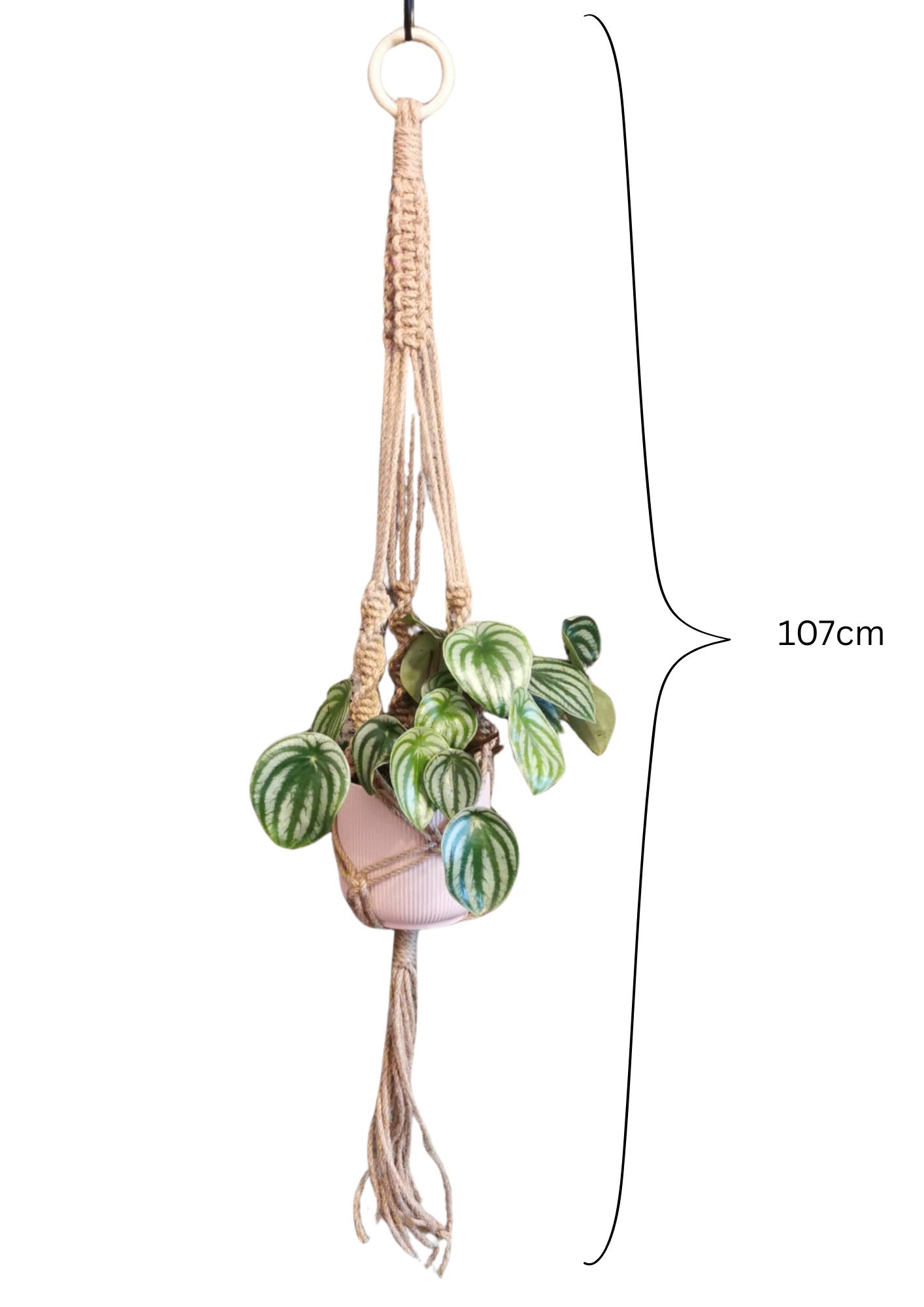 Natural Jute twister