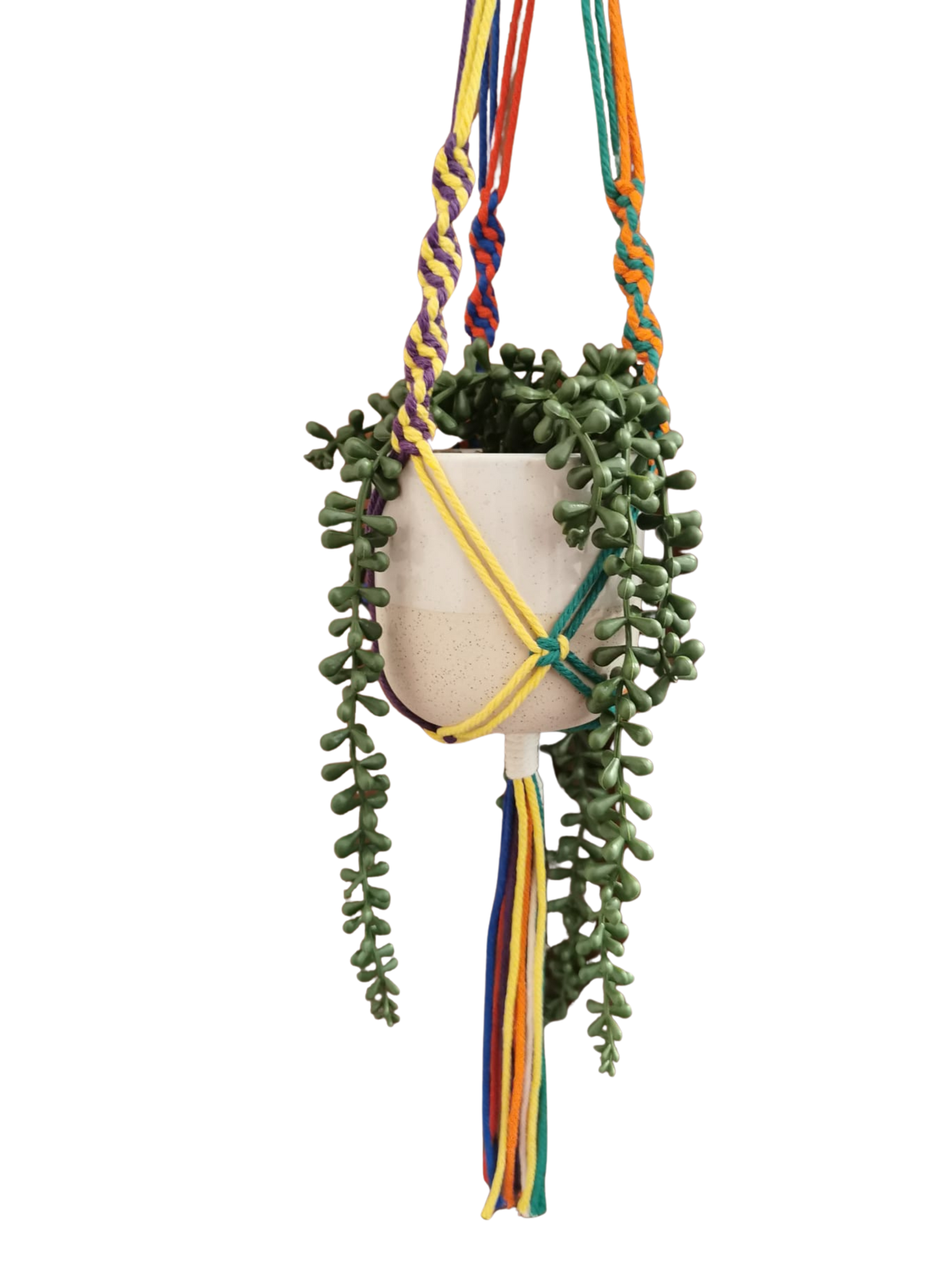 Happy Pride Small Macramé plant hanger