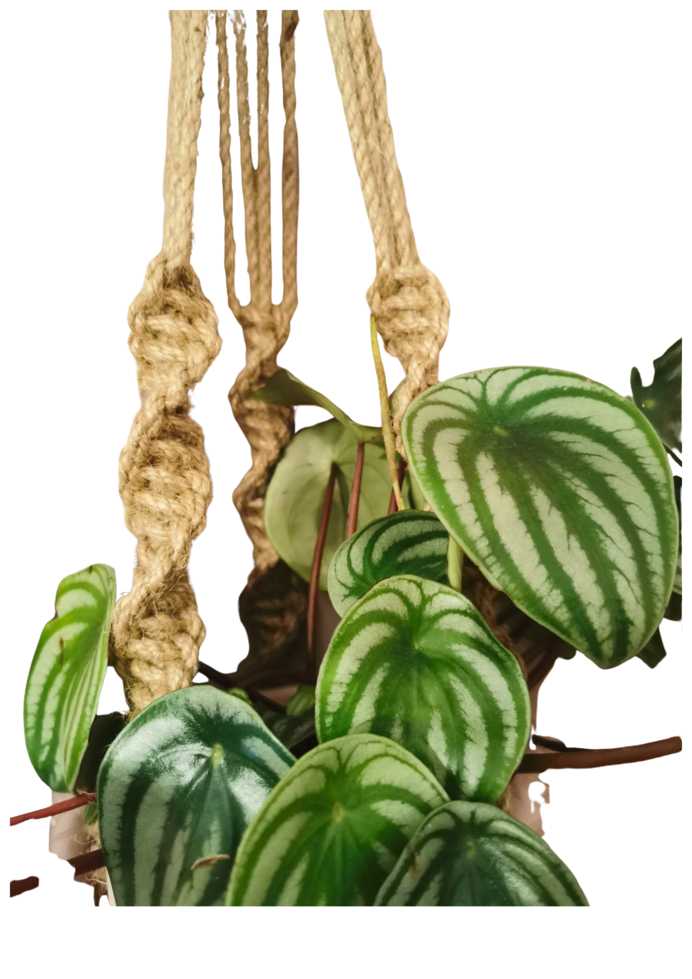 Natural Jute twister