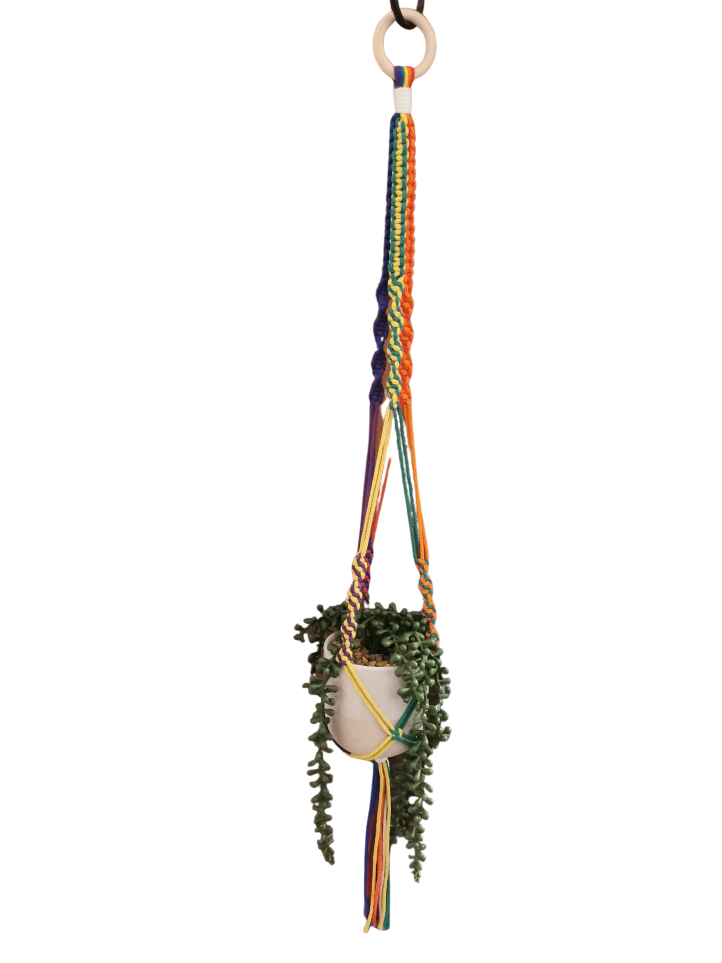 Happy Pride Small Macramé plant hanger