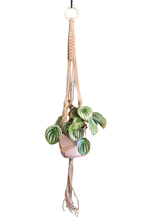 Natural Jute twister