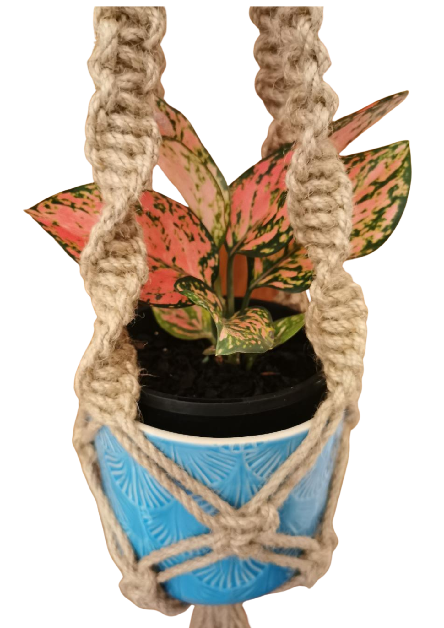 Short Natural Jute twister