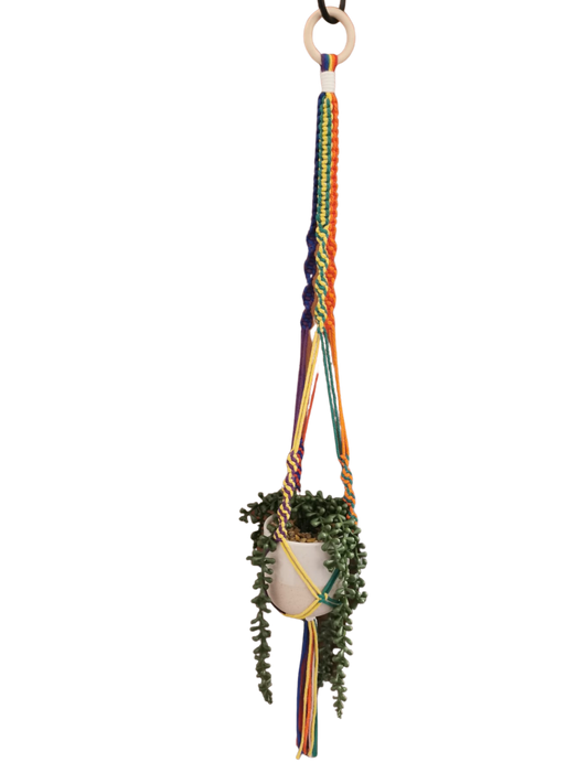 Happy Pride Small Macramé plant hanger